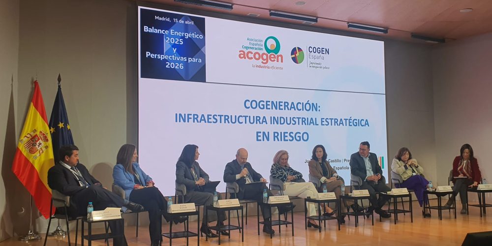 ACOGEN en BALANCE ENERGETICO 2025 Y PERSPECTIVAS 2026 enerclub1
